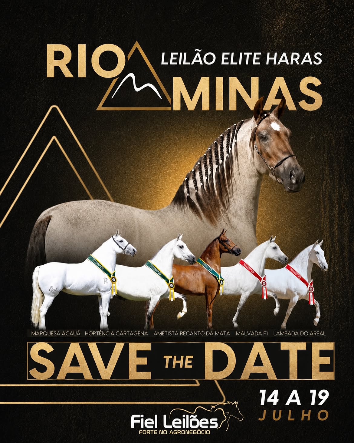 LEILÃO ELITE HARAS RIOMINAS - FIEL LEILÕES