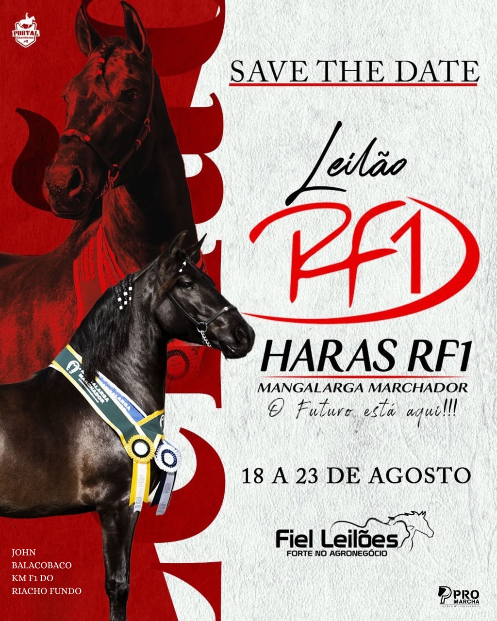 LEILÃO RF1