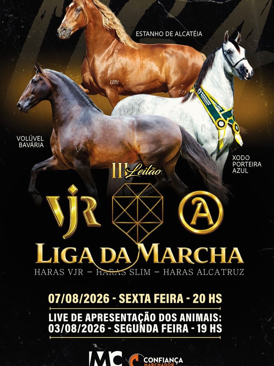 3º LEILÃO LIGA DA MARCHA