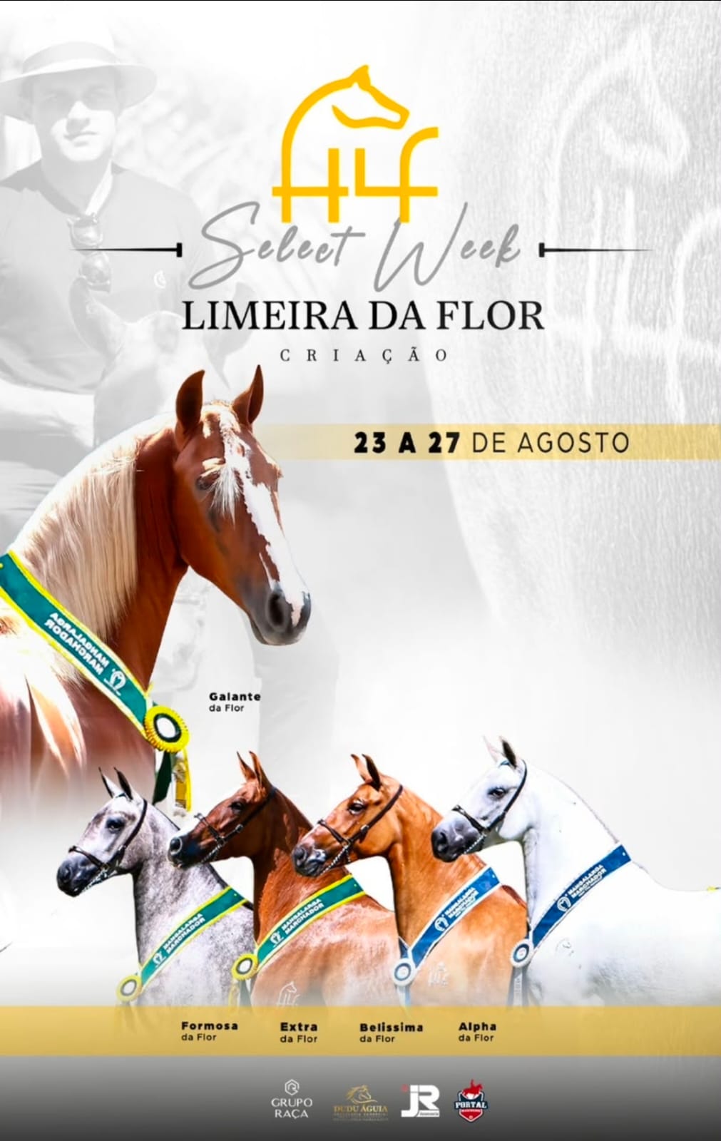 SELEET WEEK CRIAÇÃO LIMEIRA DA FLOR