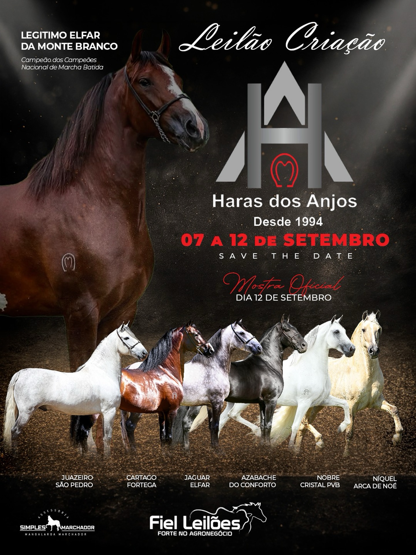 LEILÃO CRIAÇÃO HARAS DOS ANJOS