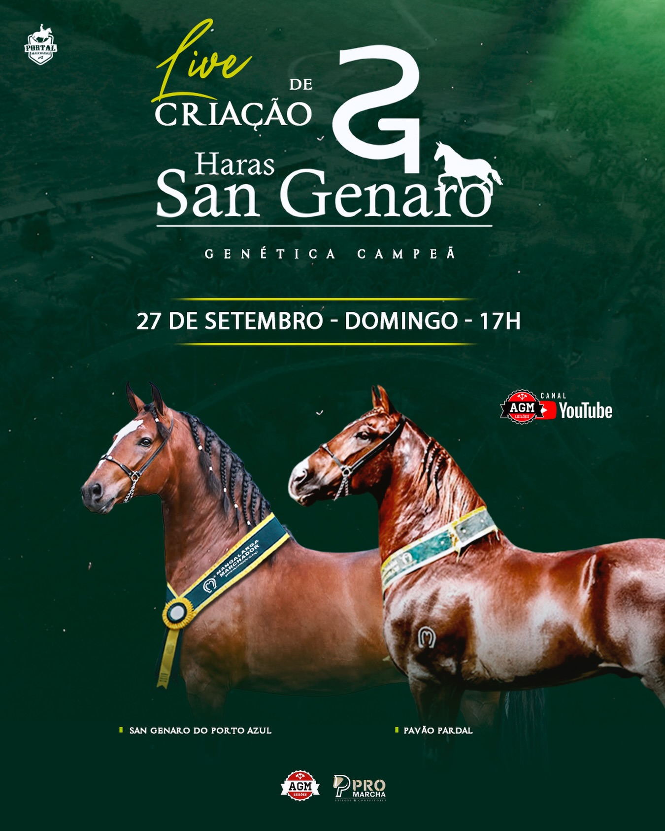 LIVE DE CRIAÇÃO HARAS SAN GENARO