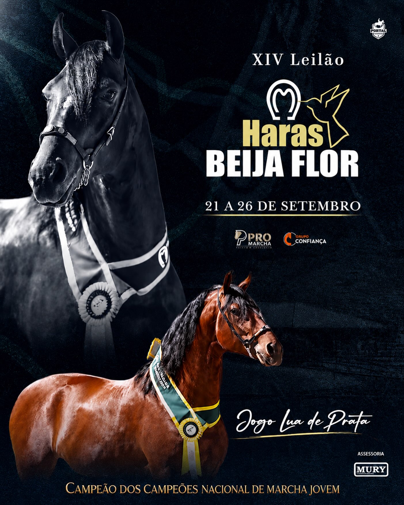 XIV LEILÃO HARAS BEIJA FLOR